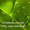 Engrais nutrition foliaire pour céréales au meilleur prix