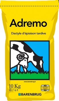 Semences Dactyle Epiaison Tardive meilleure productivité et meilleur prix