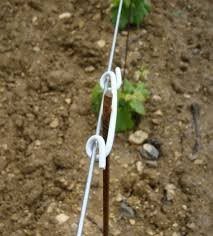 Matériel pour palissage de la vigne : attache vigne pas cher
