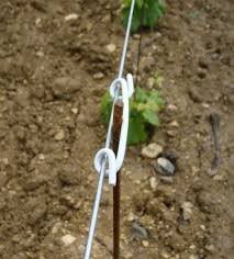 Matériel pour palissage de la vigne : attache vigne pas cher