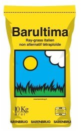 Semences Ray Grass Italien meilleur rendement meilleur prix